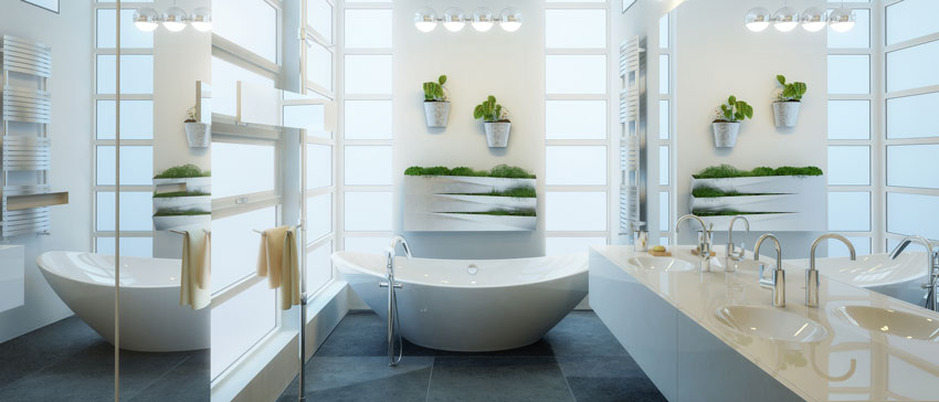 Petite salle de bain moderne longue et étroite, décorée avec petites plantes.