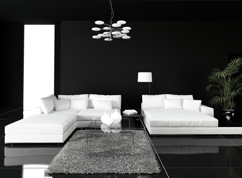 Beau salon moderne en noir et blanc.