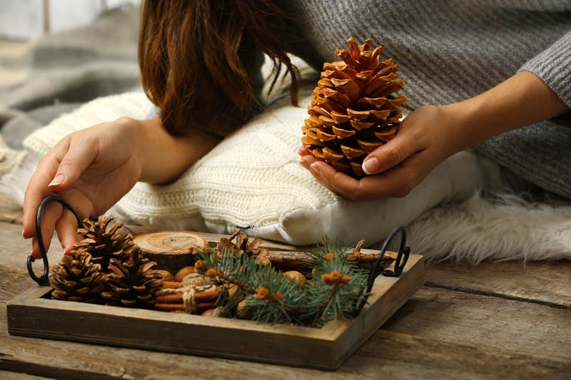 Centre de table DIY avec pommes de pin.