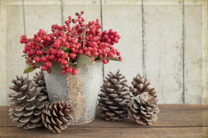 Décoration Noël DIY avec pommes de pin.