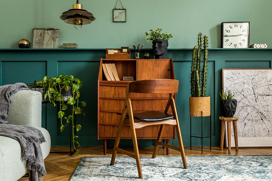 Décoration d'intérieur avec cactus.