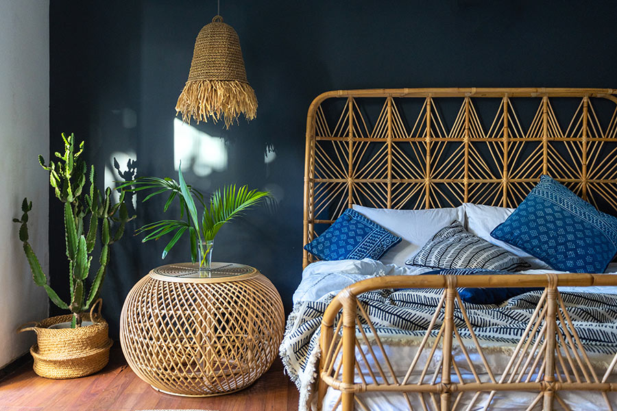 Chambre moderne avec cactus dans un vase posé au sol.