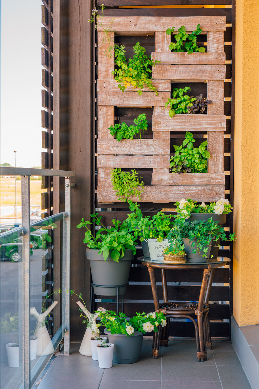 Jardin vertical de plantes aromatiques avec une palette.