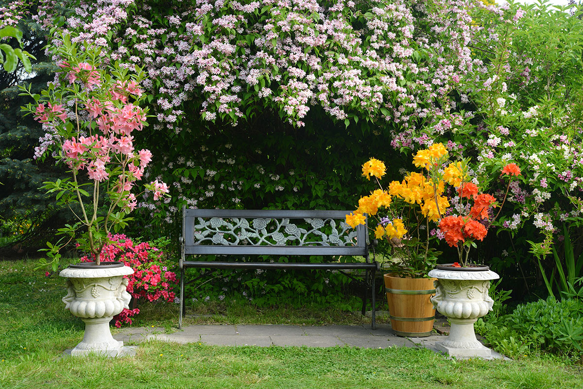 Petit coin banc romantique dans le jardin.