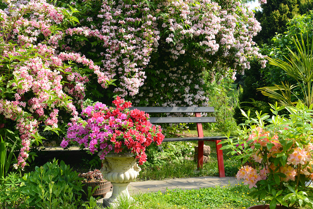 Banc de jardin camouflé avec des fleurs et plantes.