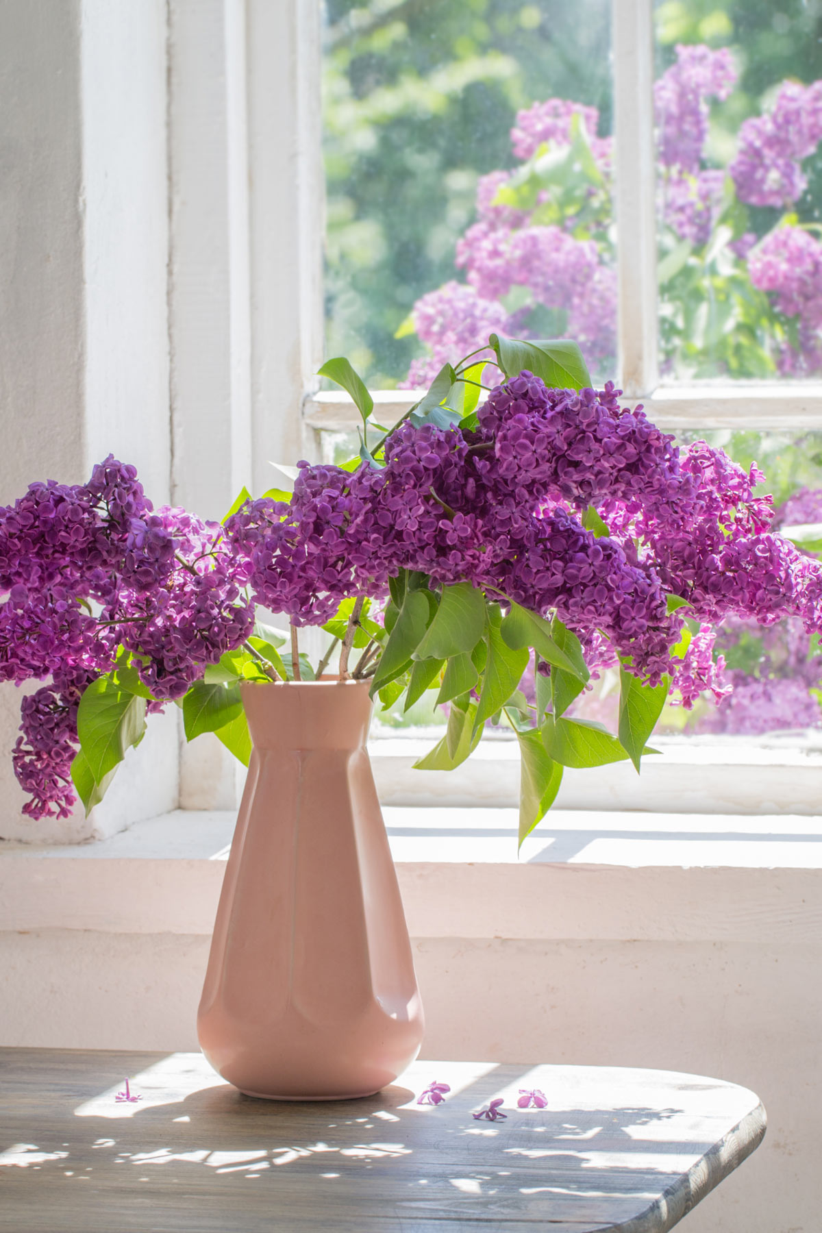 Superbe vase rose avec du Lilas.