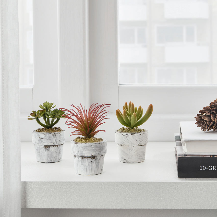 Les plantes grasses artificielles IKEA