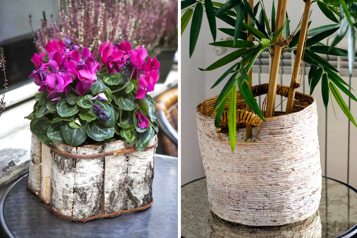 Pots originaux pour vos petites plantes