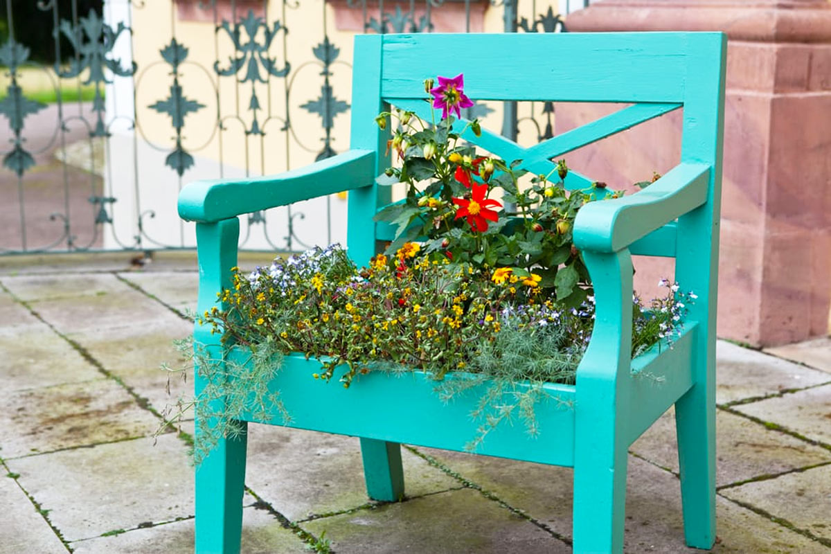 Jardinière créative DIY avec une vieille chaise en bois.
