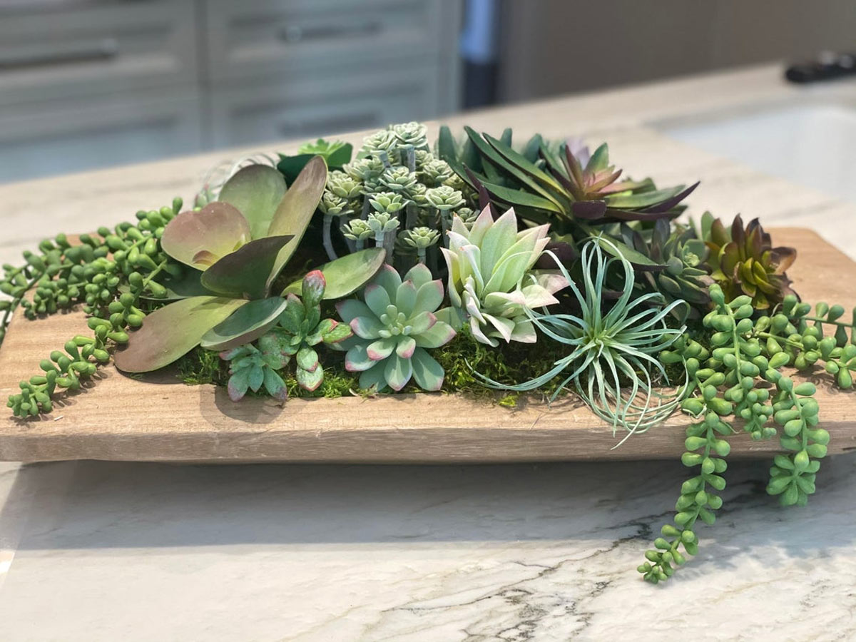 centre de table avec des plantes succulentes