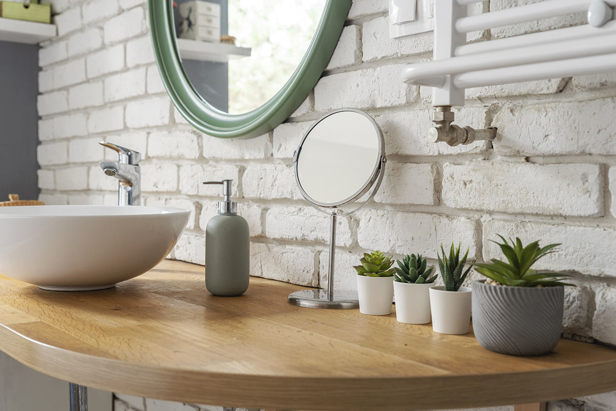 Des pots avec des plantes grasses dans la salle de bain.