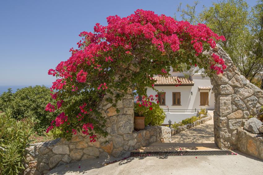 Entrée de la maison avec une arche en pierre et un bougainvillier grimpant.