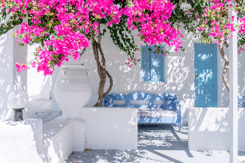 Belle terrasse en bord de mer avec un bougainvillier qui fait de l'ombre.