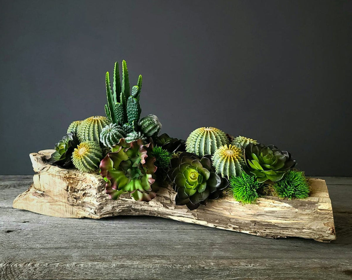 centre de table avec des plantes grasses