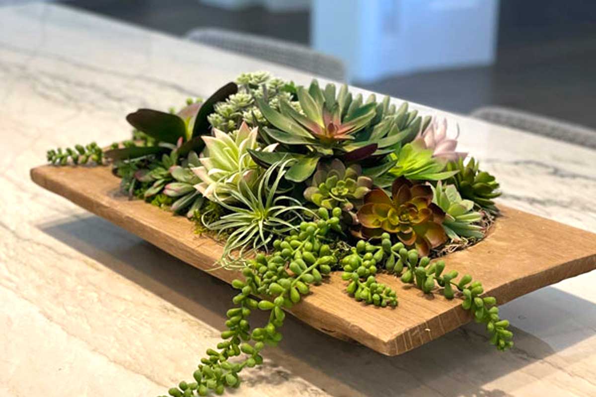 centre de table avec plantes grasses