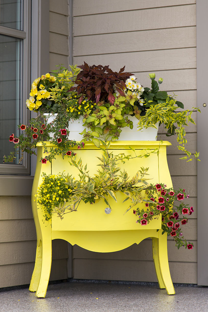 une vieille commode peinte en jaune devient une jardinière d'extérieur