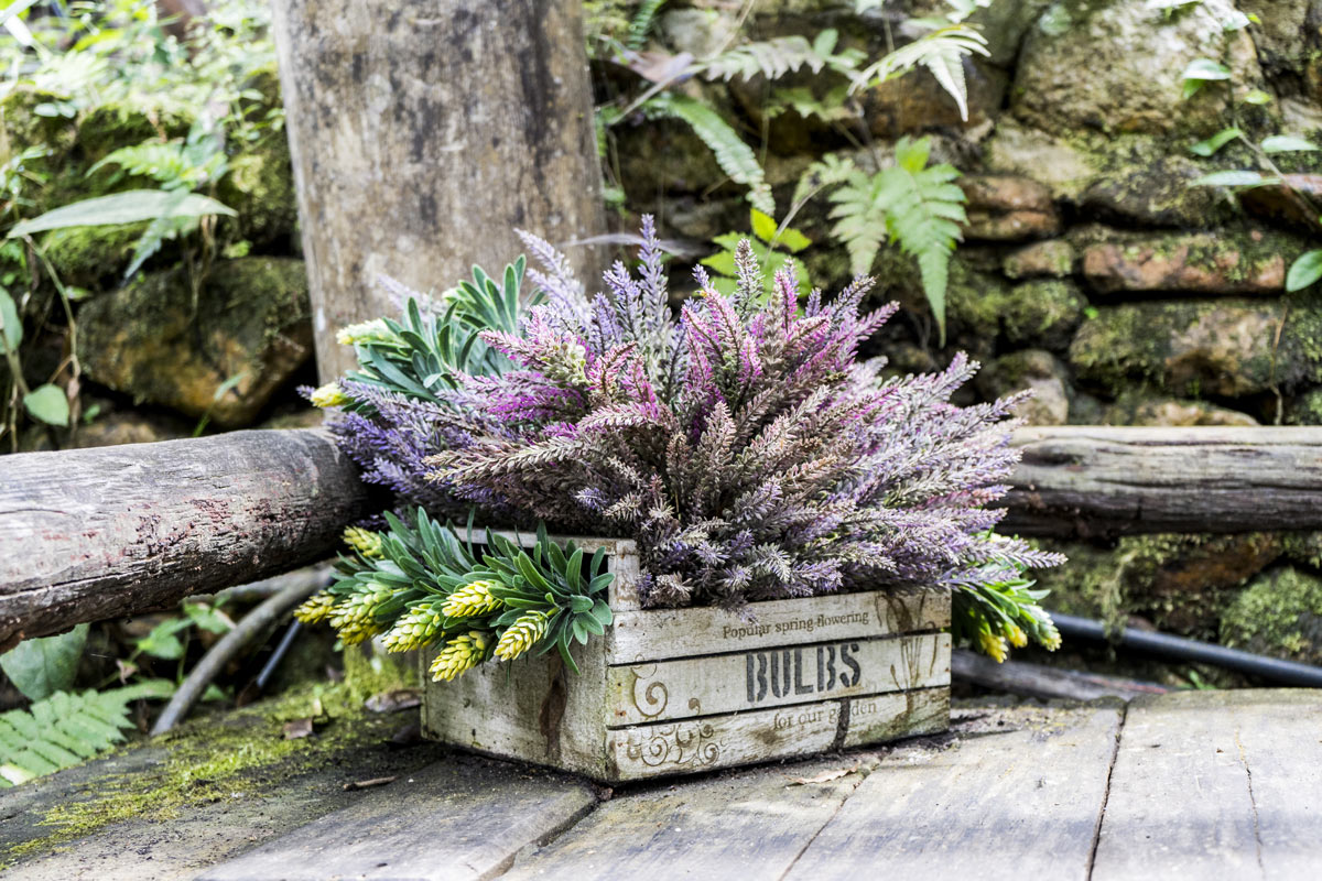 Vieille caisse en bois avec bruyère sur une terrasse.