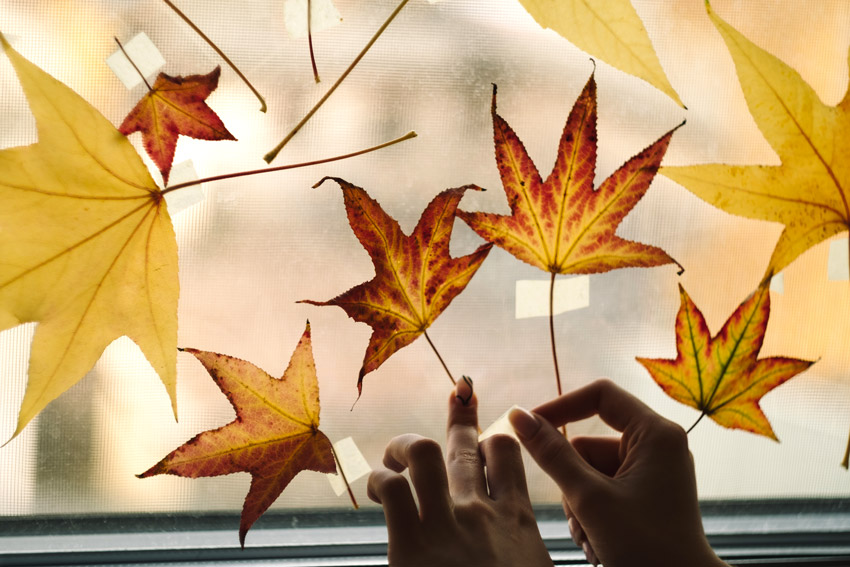 feuilles pour créer des motifs sur vos fenêtres en automne