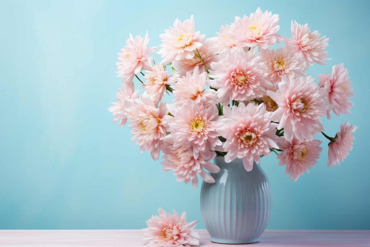 vase bleu avec des chrysanthèmes