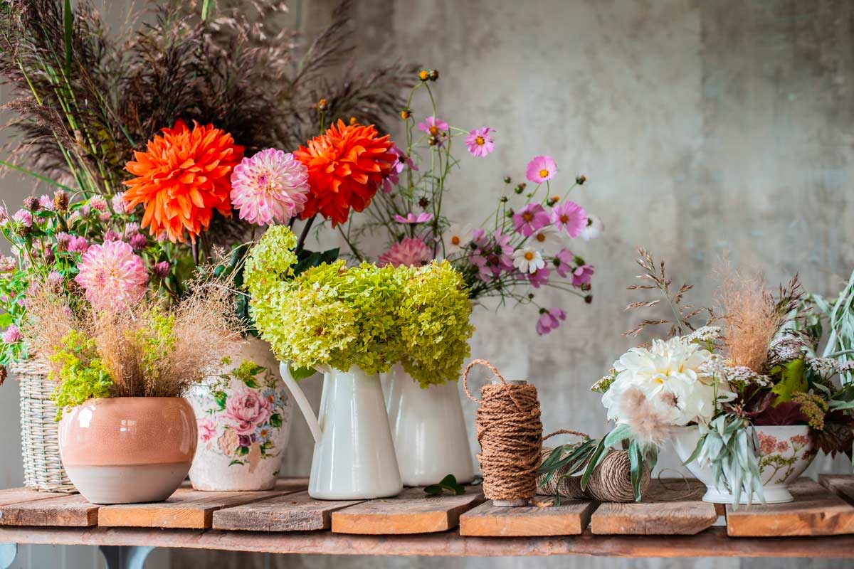 vases de chrysanthèmes et autres fleurs d'automne