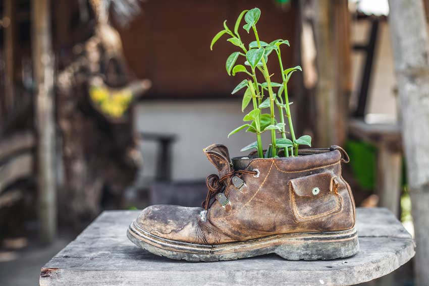 Bottes comme jardinières