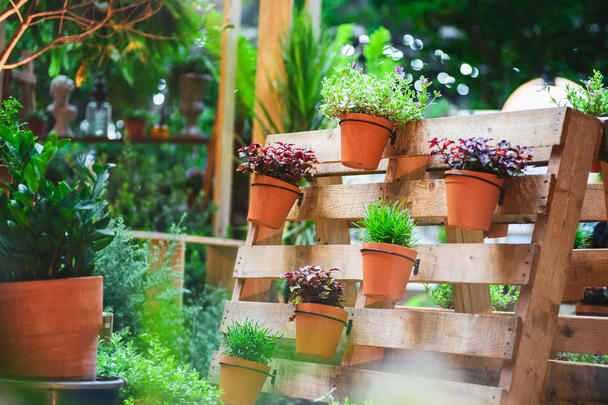 jardinière en palette de bois avec petits pots accrochés