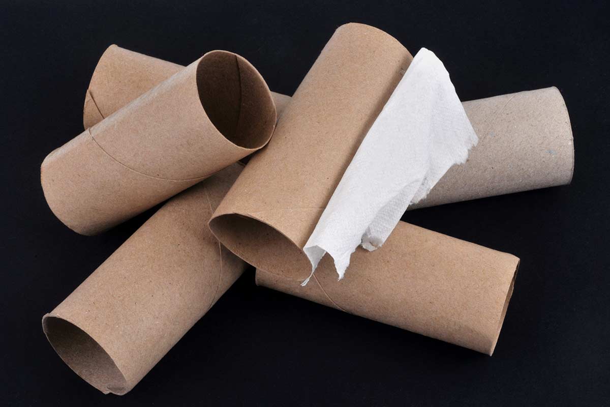 Rouleaux de papier de toilette récupération.