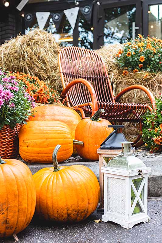 déco de jardin en automne avec citrouilles et lanternes