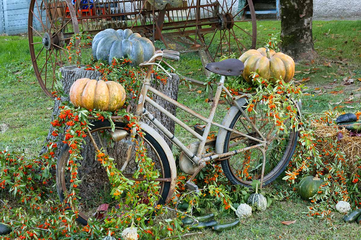 vélo dans le jardin décorer en automne