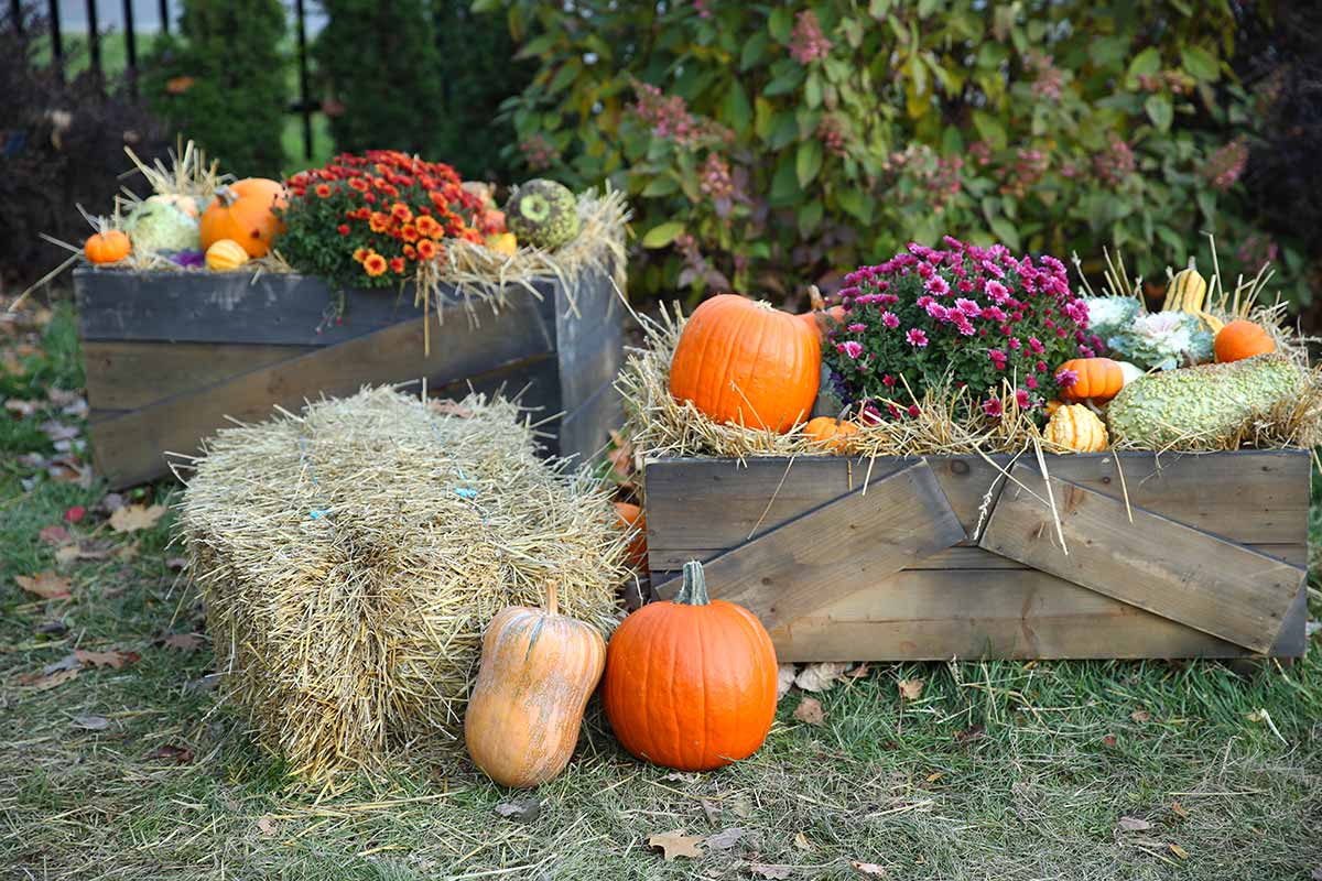 décorer le jardin en automne