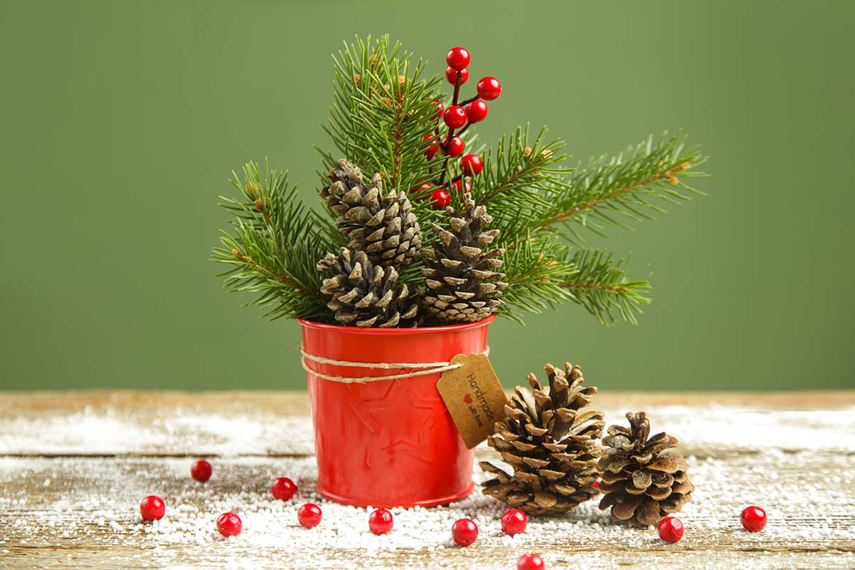 décorer un vase avec des pommes de pin pour Noël