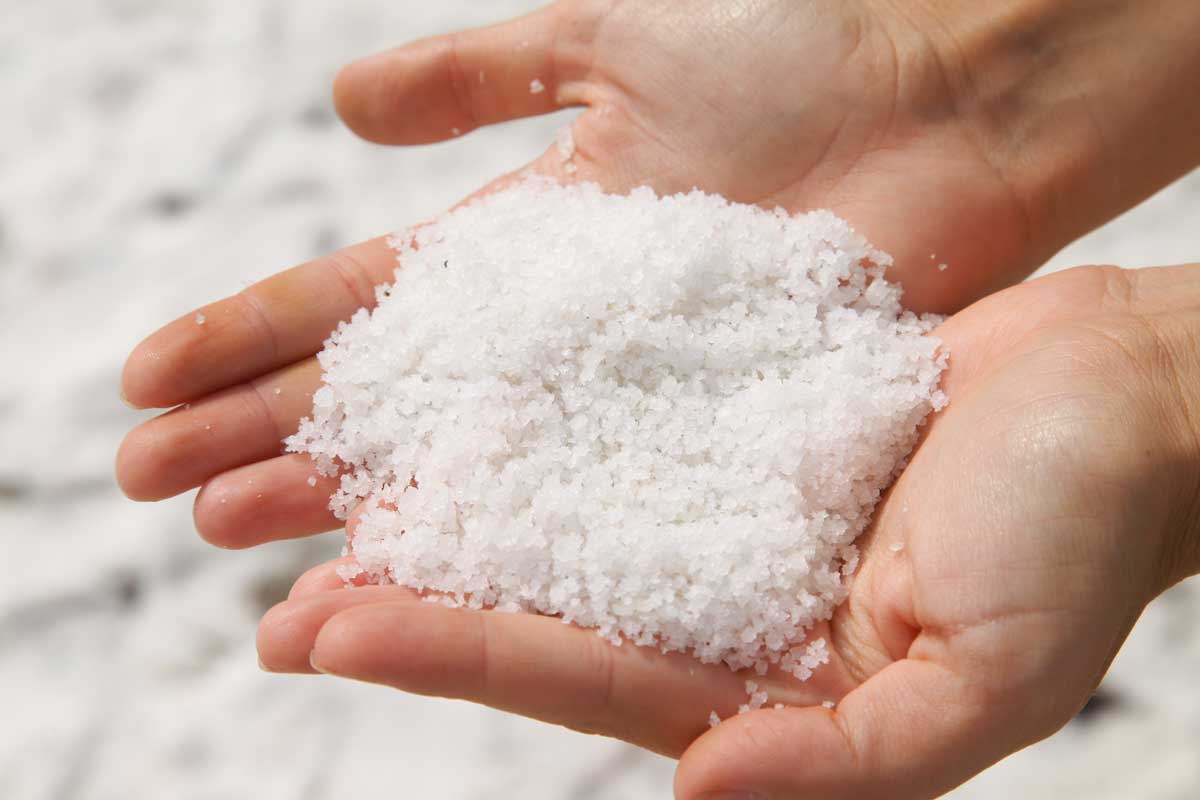 Fausse neige à base de sel et de farine.
