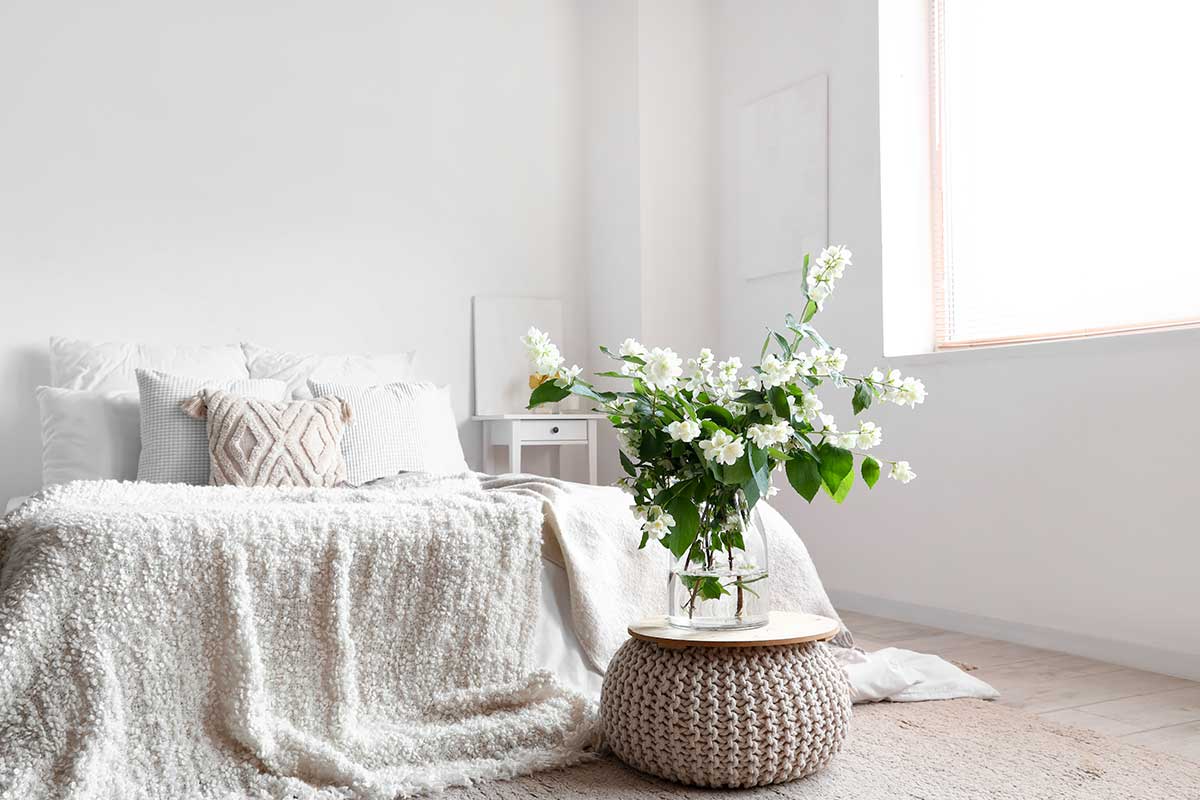 plantes dans la chambre pour un sommeil réparateur