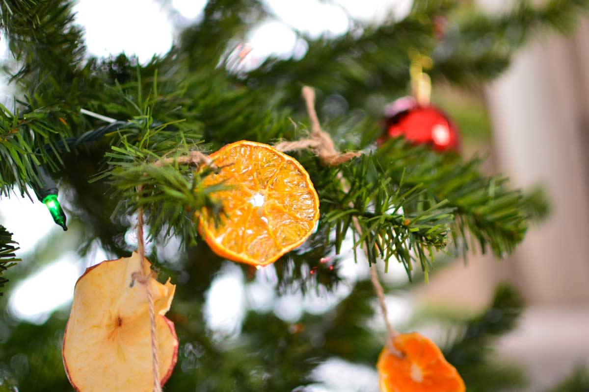 orange séchée sur sapin