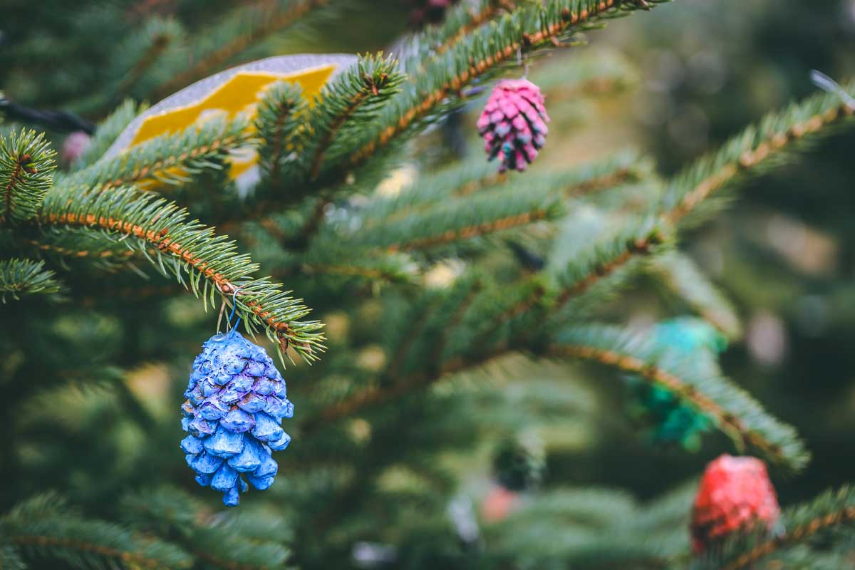 sapin de Noël décoré avec des pommes de pin colorées