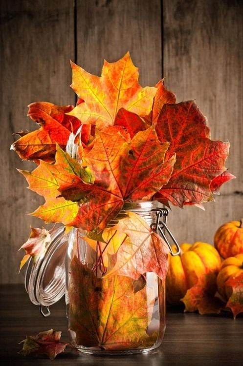 bocal en verre avec feuilles d'automne